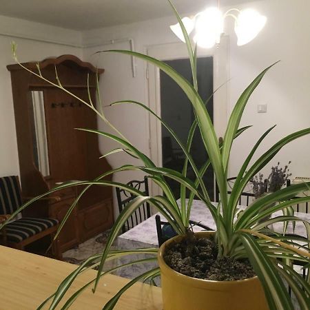 Levendula Apartmanhaz Διαμέρισμα Sümeg Εξωτερικό φωτογραφία