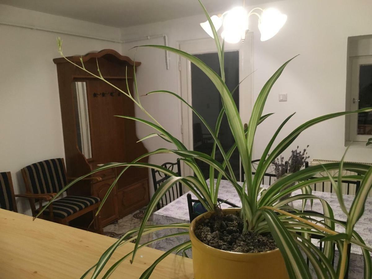 Levendula Apartmanhaz Διαμέρισμα Sümeg Εξωτερικό φωτογραφία